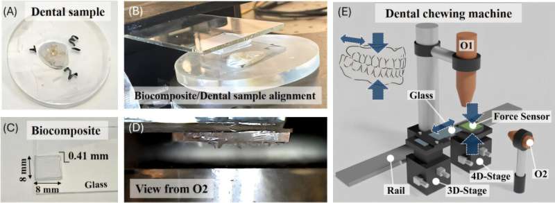 Microscopic plant stones can cause permanent damage to tooth enamel